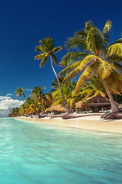 Tropischer Inselstrand mit Palmen und sonnigem Himmel. 